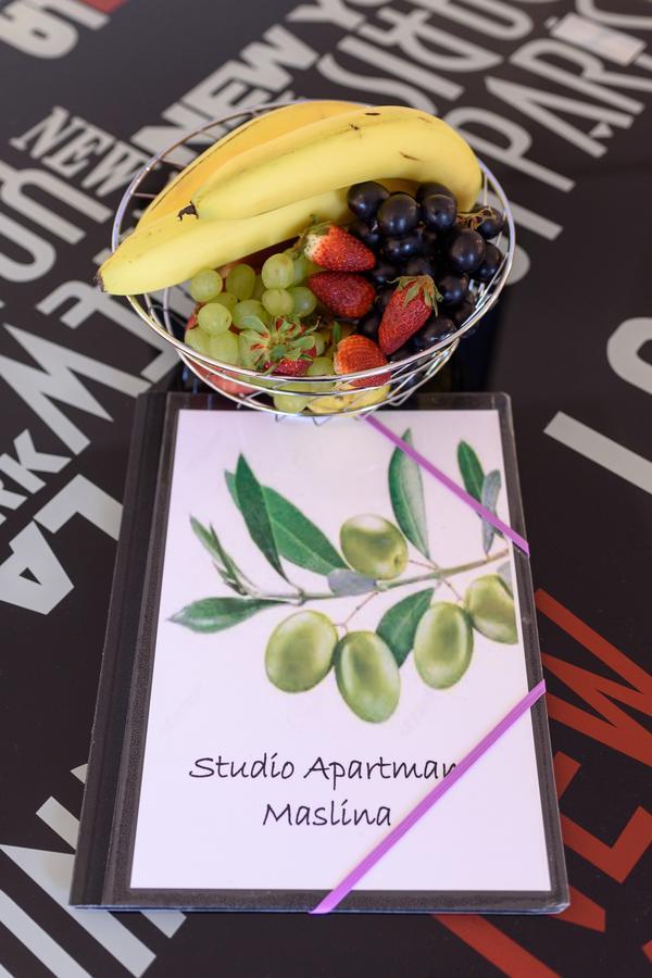 Studio Apartment Maslina Gornji Karin Cameră foto